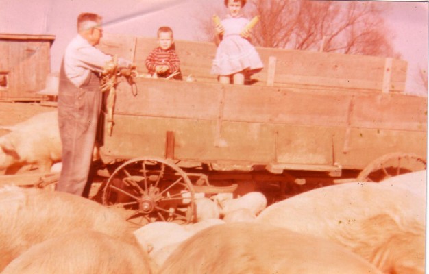 Papaw Walter Carr helps my brother, Randy, and I feed the pigs. Last time I ever did that!
