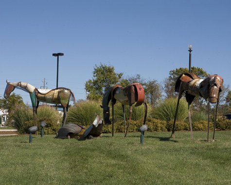 This herd of horses grazes on and rests in the surrounding grass, seemingly unaware of the busy world. Made of colorful found metal fenders, license plates, old signs and wire, the sculptures prove that castoffs can take on new forms and functions far from their original roles. Once parts of vehicles and farm implements, the combined items now exist as works of art, providing a unique and beautiful view in an otherwise commercial area in Columbia, MO. Sculpture by Doug Owen, 2008.