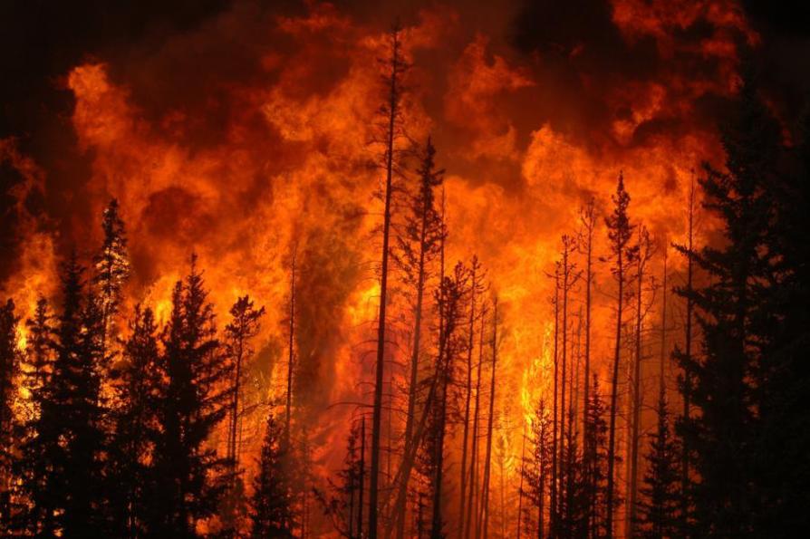 forestfire2