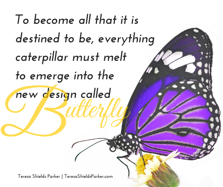 butterfly