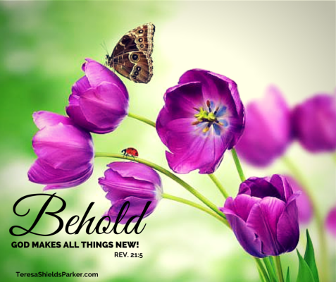 BEHOLD I MAKE ALL THINGS NEW