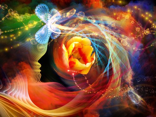 shutterstock_mind butterfly flower