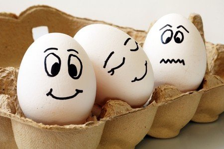egg faces 7911576_s