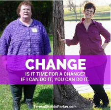 change-b-a-tsp